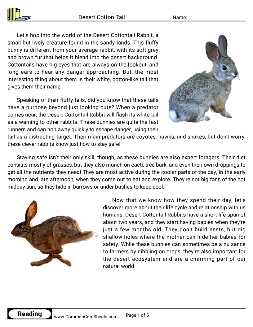 Reading Comprehension Mammals - Desert Cotton Tail Rabbit worksheet
