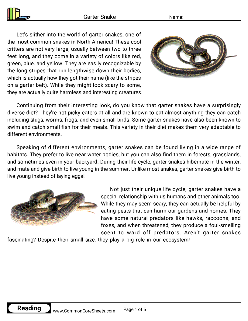 Reading Comprehension Reptiles - Garter Snake worksheet