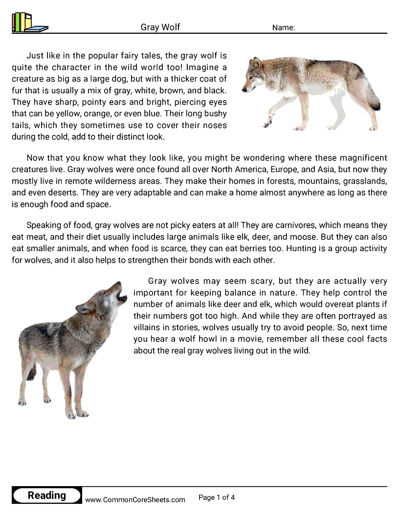 Reading Comprehension Mammals - Gray Wolf worksheet