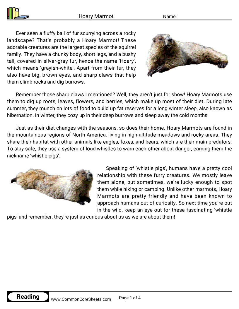 Reading Comprehension Mammals - Hoary Marmot worksheet
