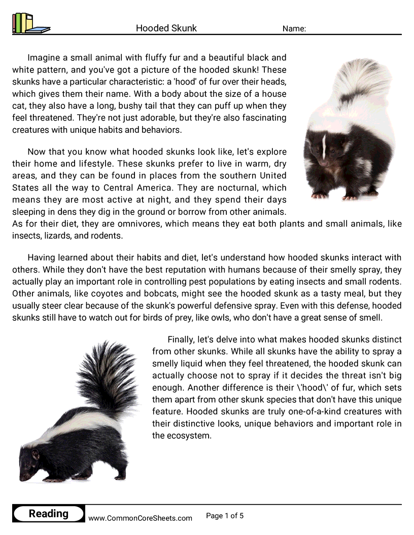 Reading Comprehension Mammals - Hooded Skunk worksheet