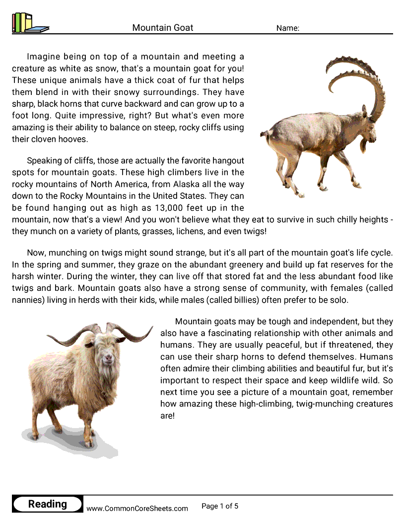 Reading Comprehension Mammals - Mountain Goat worksheet