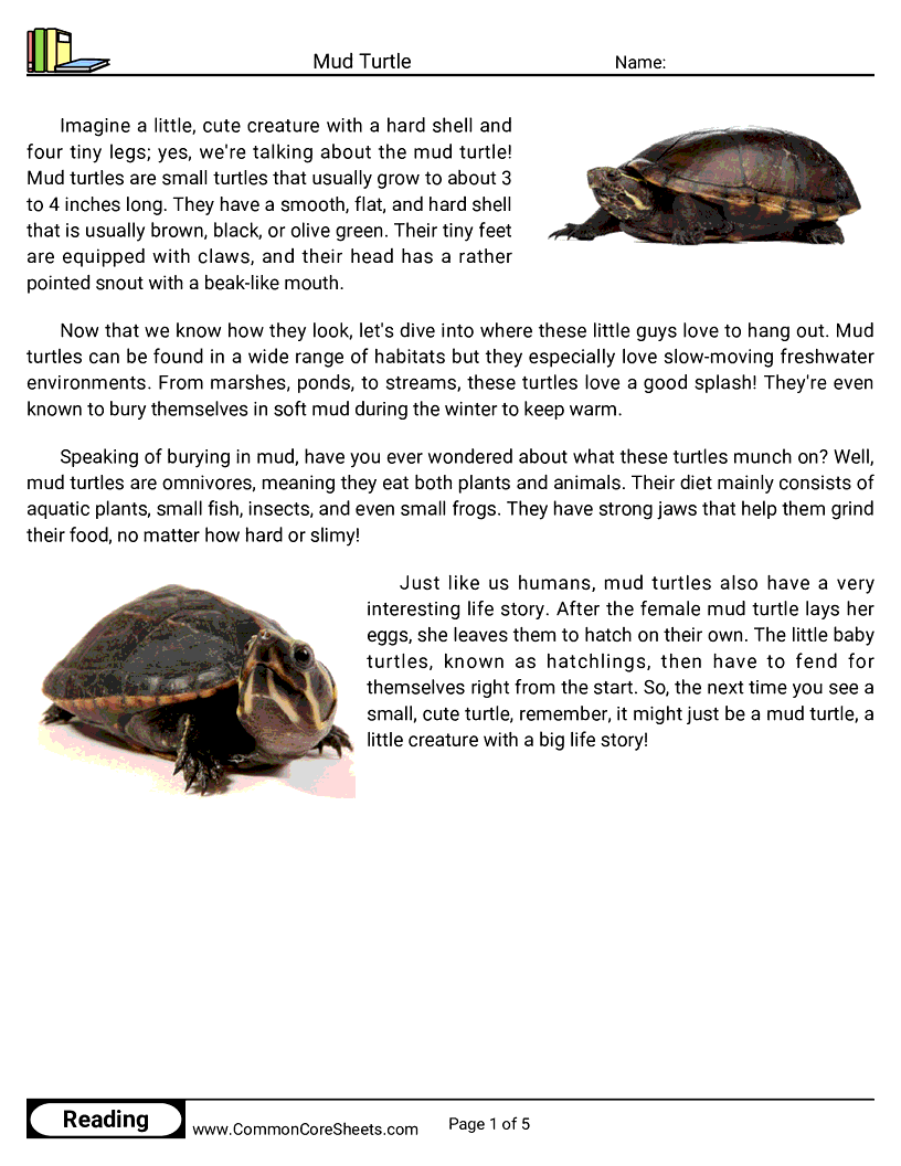Reading Comprehension Reptiles - Mud Turtle worksheet