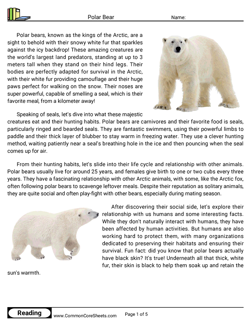 Reading Comprehension Mammals - Polar Bear worksheet