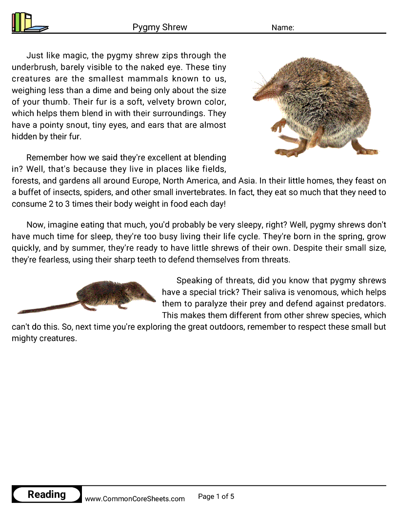 Reading Comprehension Mammals - Pygmy Shrew worksheet