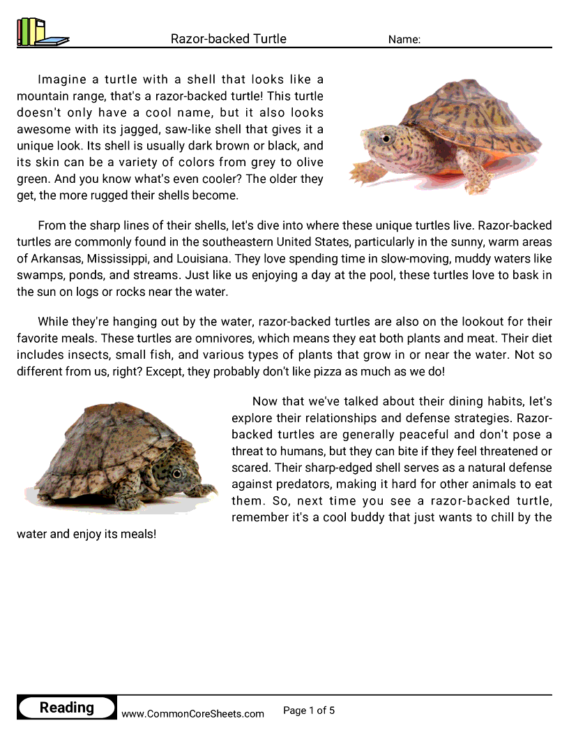 Reading Comprehension Reptiles - Razor-backed Turtle worksheet