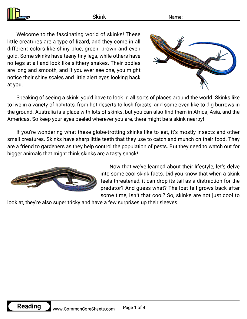 Reading Comprehension Reptiles - Skink worksheet