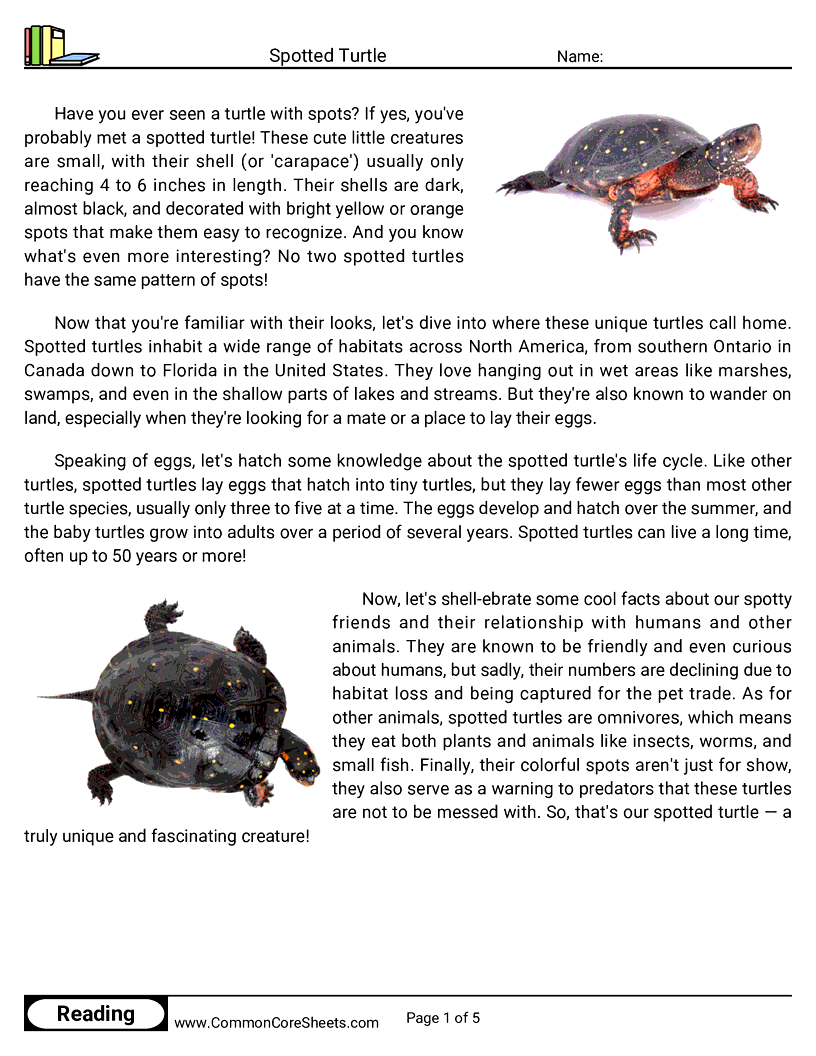 Reading Comprehension Reptiles - Spotted Turtle worksheet