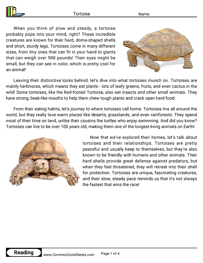 Reading Comprehension Reptiles - Tortoise worksheet