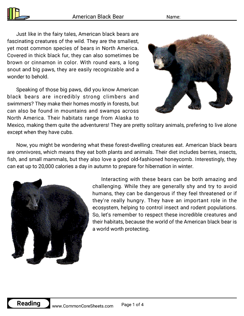 Reading Comprehension Mammals - American Black Bear worksheet