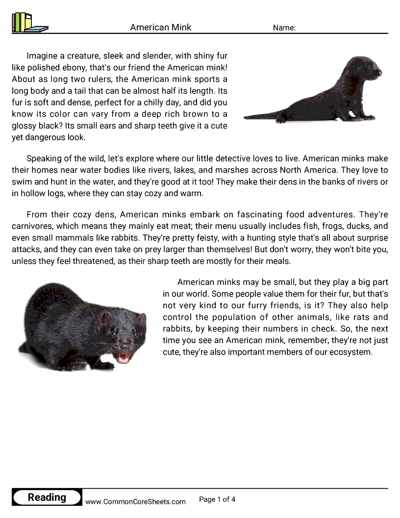Reading Comprehension Mammals - American Mink worksheet