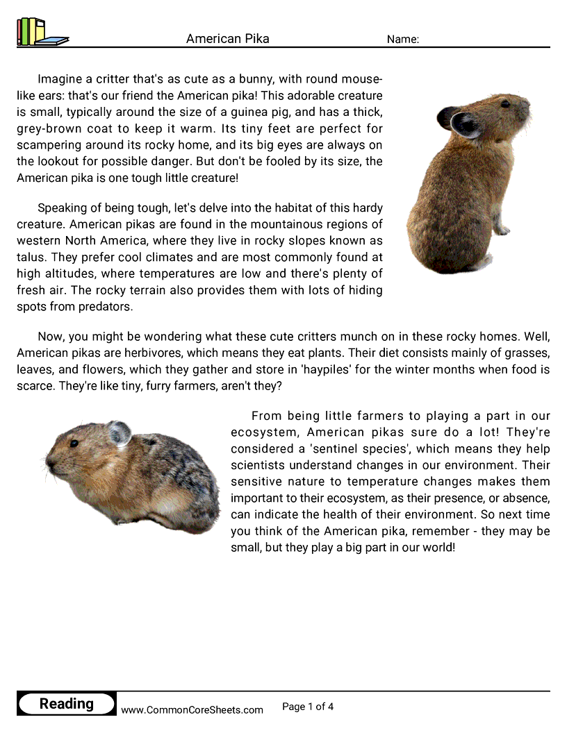 Reading Comprehension Mammals - American Pika worksheet