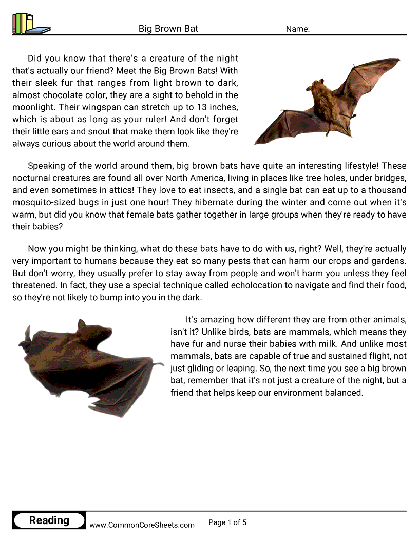 Reading Comprehension Mammals - Big Brown Bat worksheet