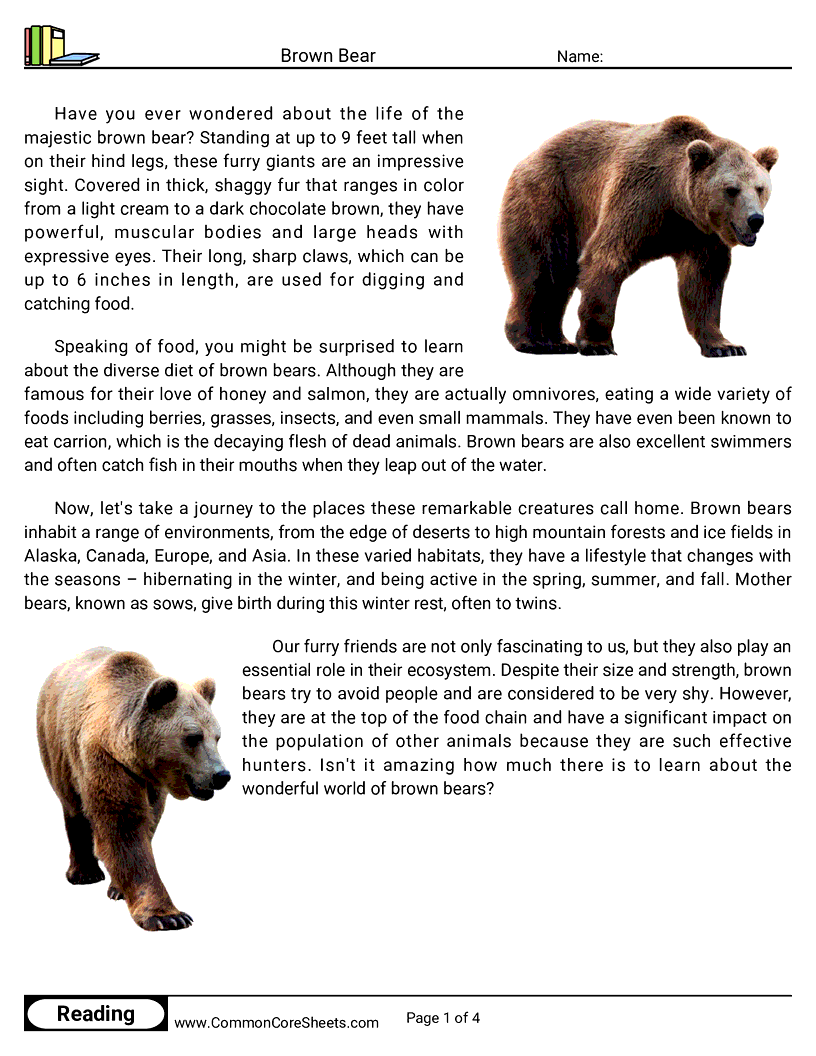 Reading Comprehension Mammals - Brown Bear worksheet