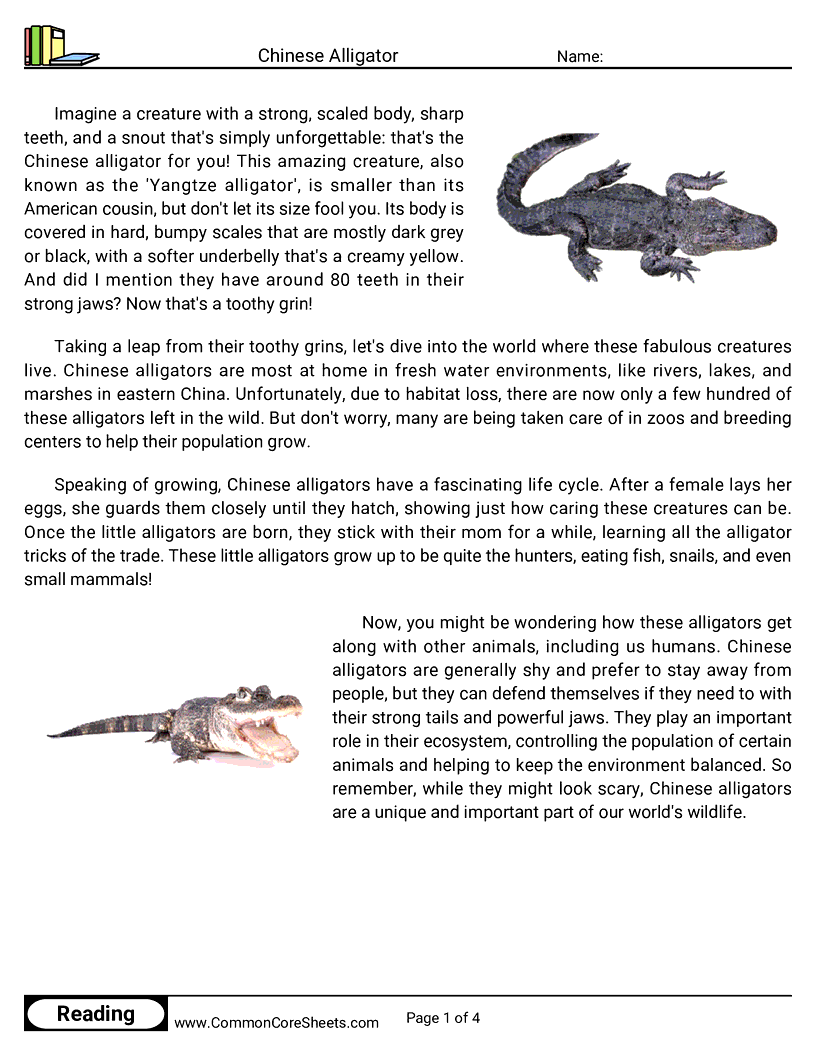 Reading Comprehension Reptiles - Chinese Alligator worksheet
